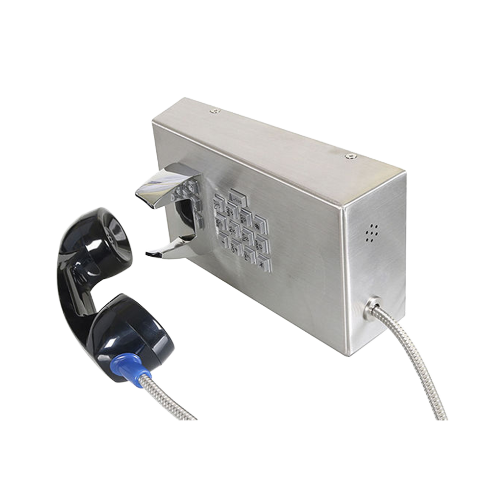 JR201-FK-VC Telefono Antivandalico Vozell - Image 2