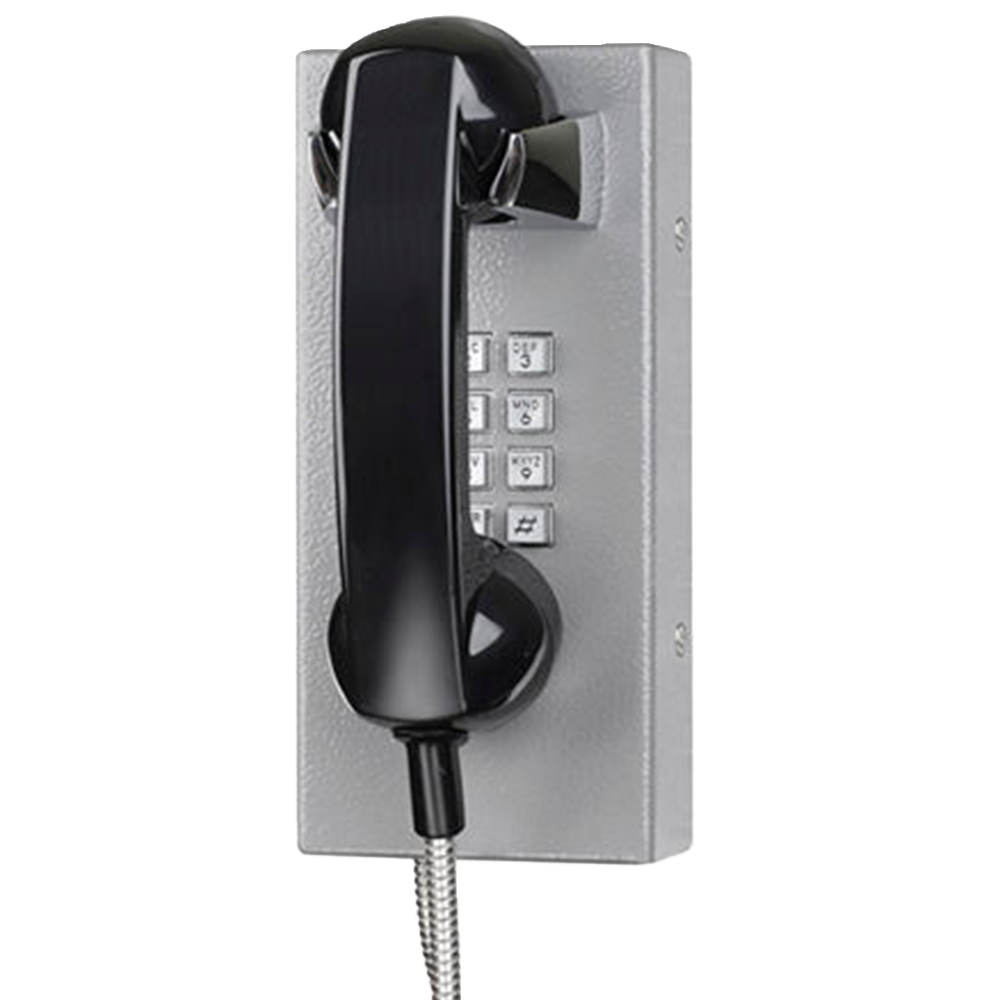 JR202-FK Telefono Antivandalico Vozell - Image 2