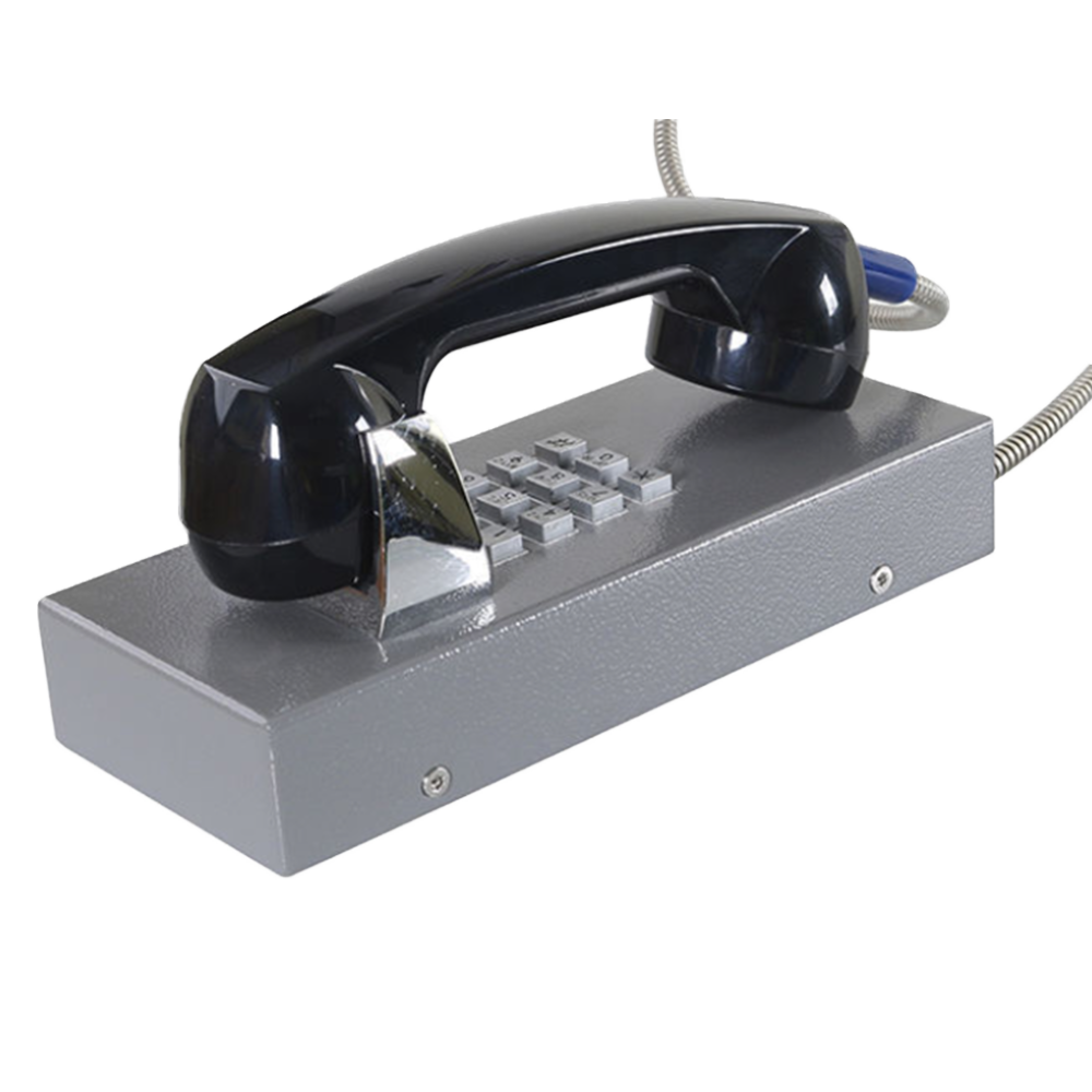 JR202-FK Telefono Antivandalico Vozell - Image 8
